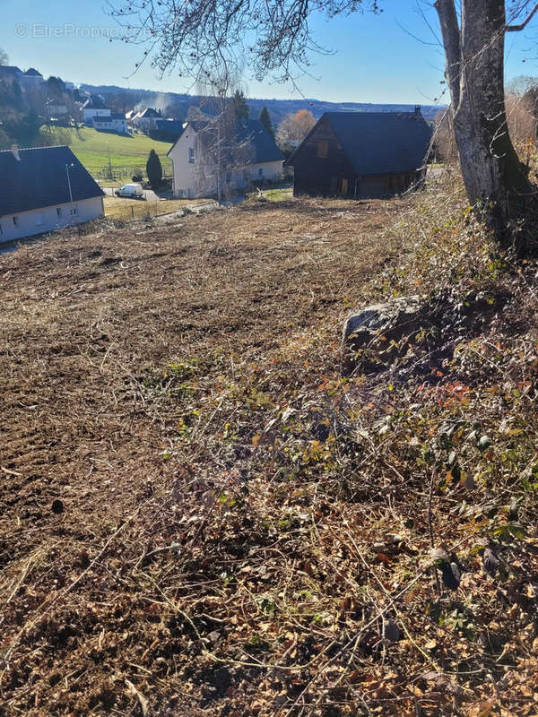 Terrain à LA TOUR-D&#039;AUVERGNE