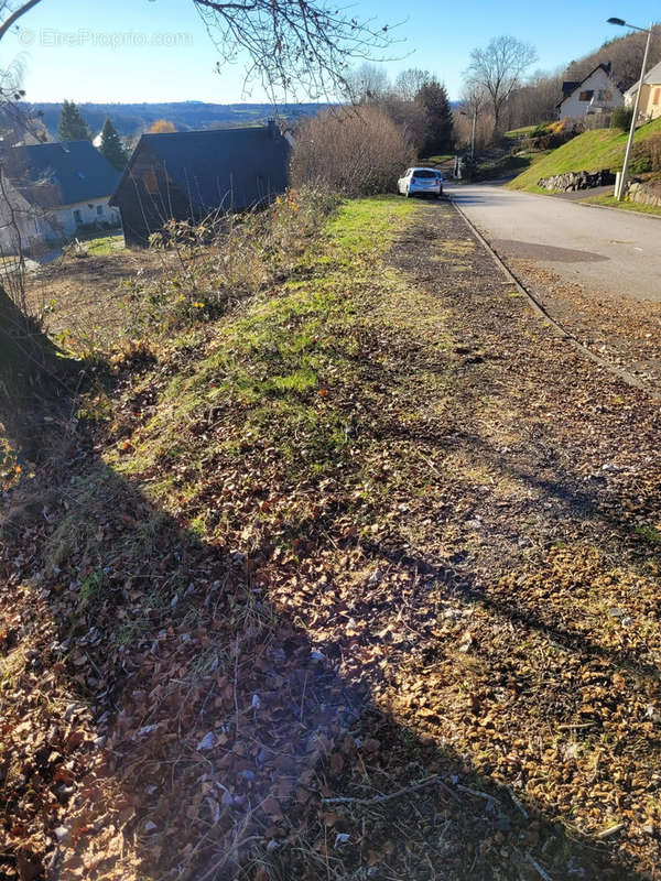 Terrain à LA TOUR-D&#039;AUVERGNE