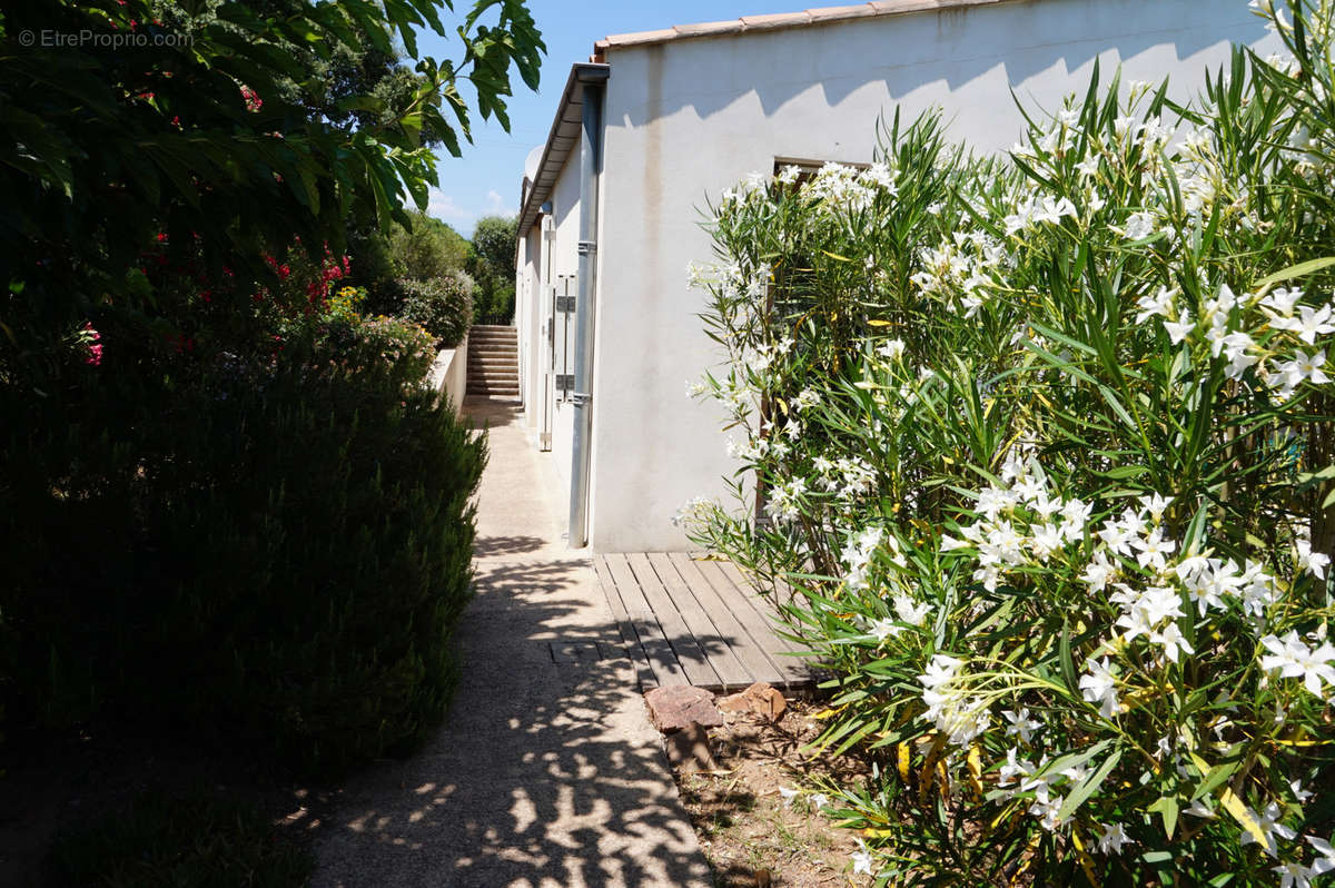 Maison à PORTO-VECCHIO