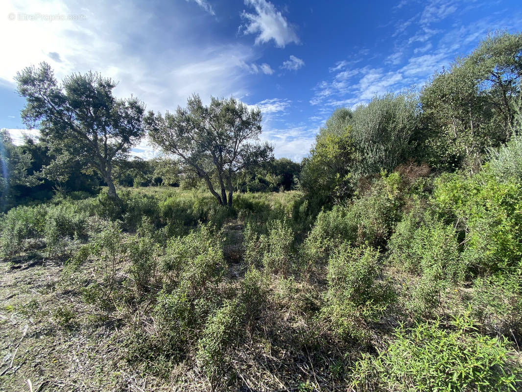 Terrain à FIGARI