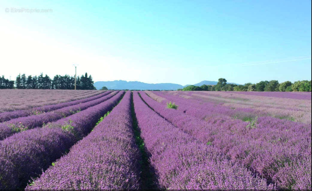 Terrain à PERNES-LES-FONTAINES