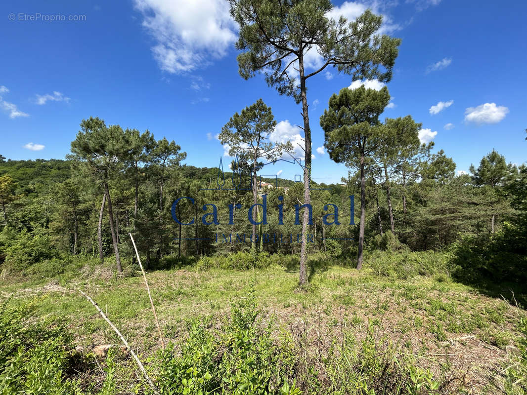 Terrain à COURSAC