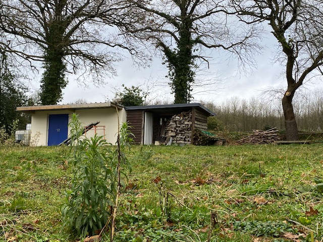 Maison à LOUVIGNE-DU-DESERT