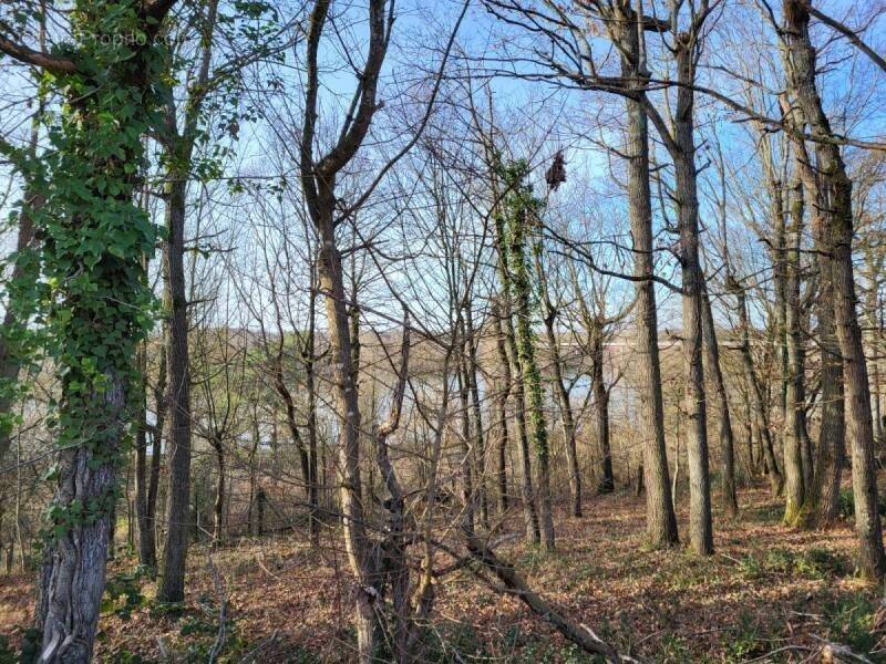 Terrain à FONTENAY-SUR-LOING