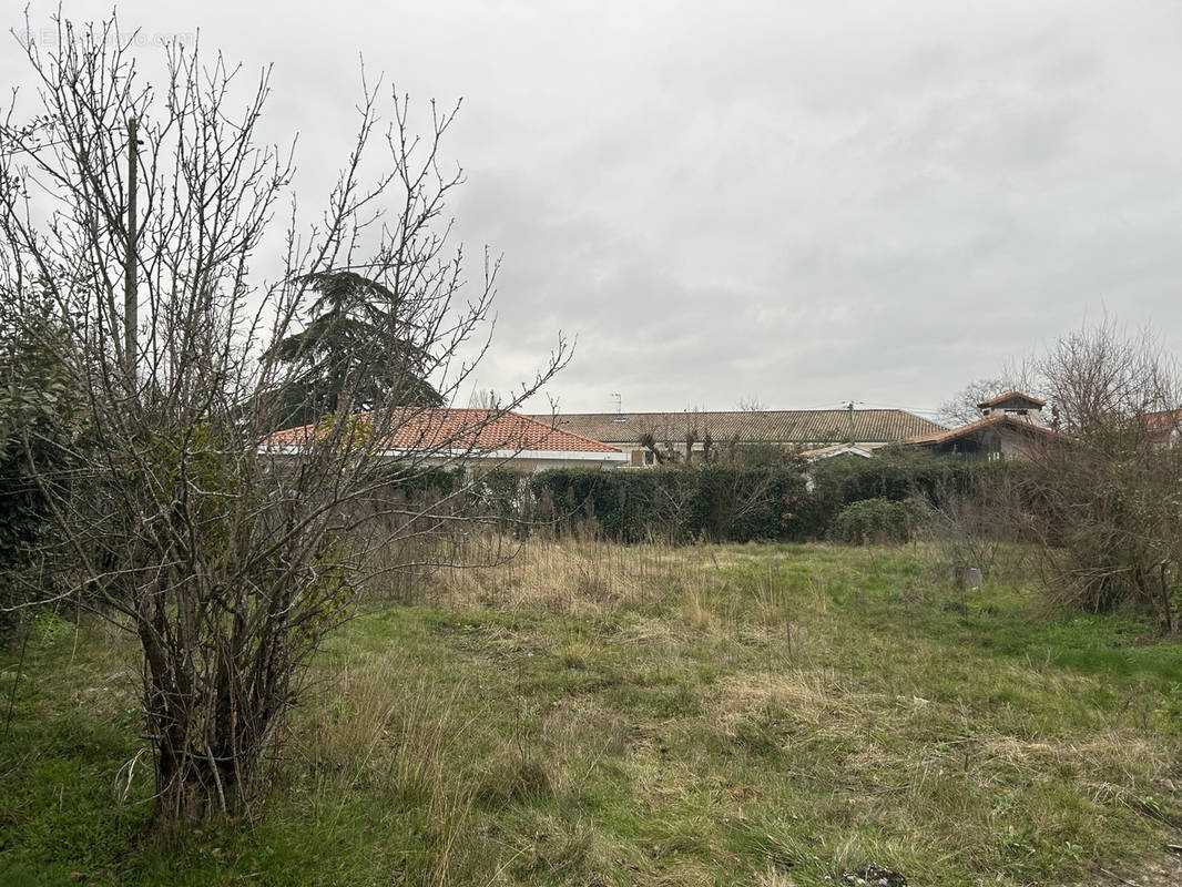 Terrain à LEOGNAN