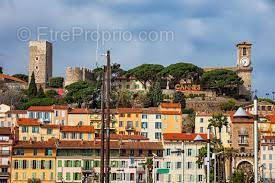 Commerce à CANNES