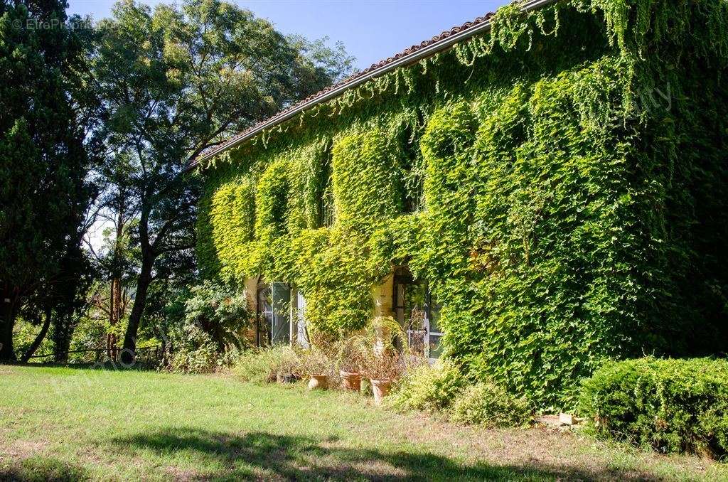 Maison à L&#039;ISLE-JOURDAIN