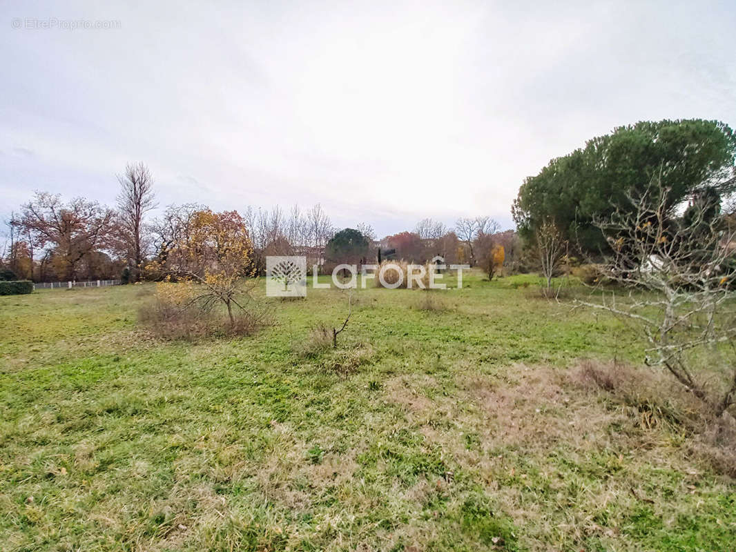 Terrain à MOISSAC