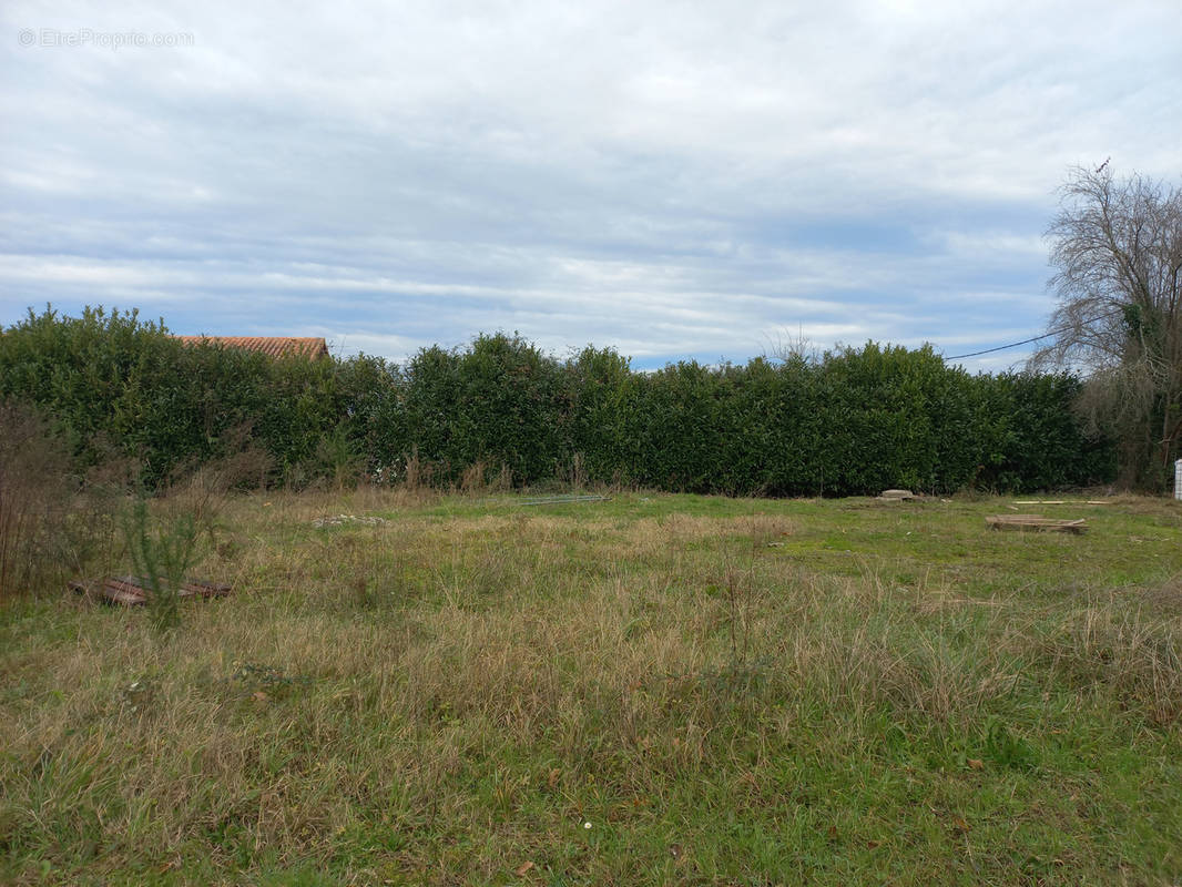 Terrain à SAINT-PALAIS