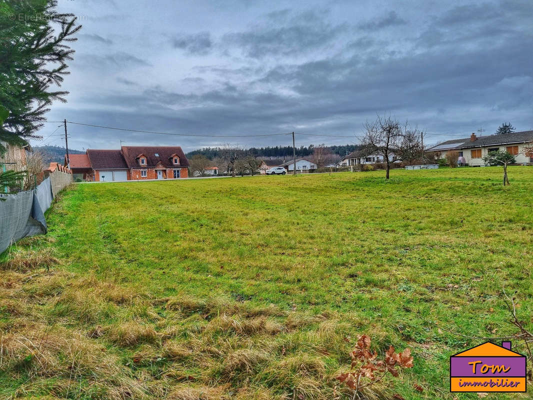 Terrain à THIAVILLE-SUR-MEURTHE