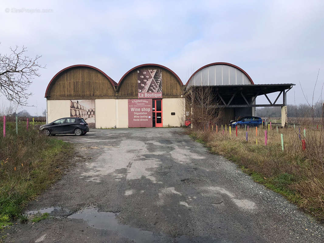 Commerce à CUSSAC-FORT-MEDOC