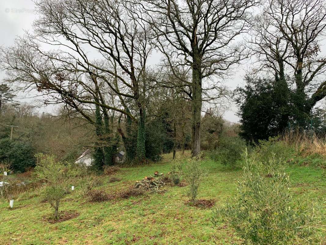 Jardin de 3000m² - Maison à POULDERGAT