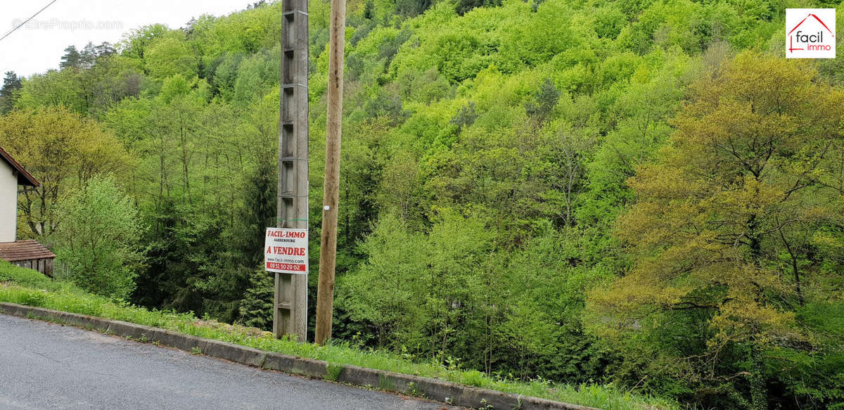 Terrain à LUTZELBOURG