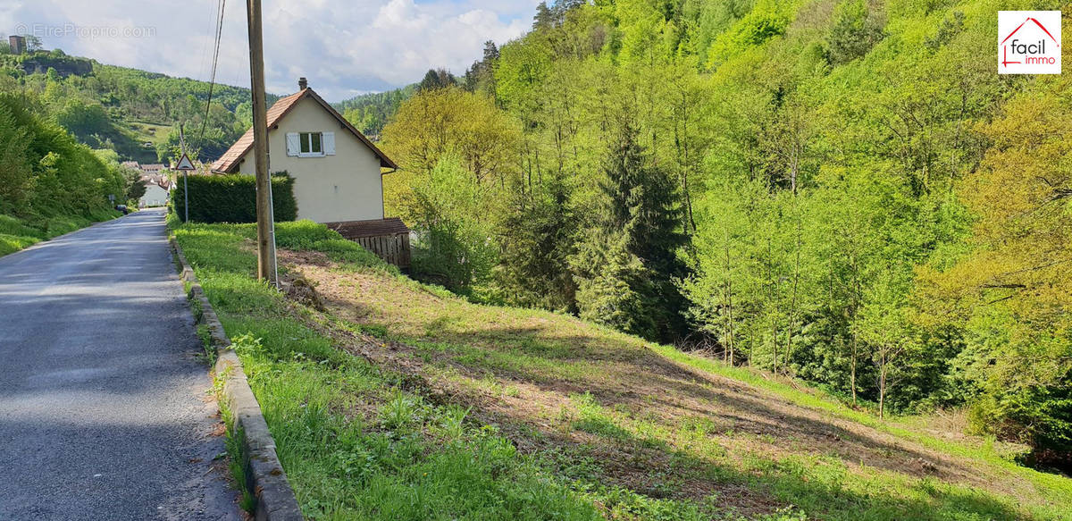 Terrain à LUTZELBOURG