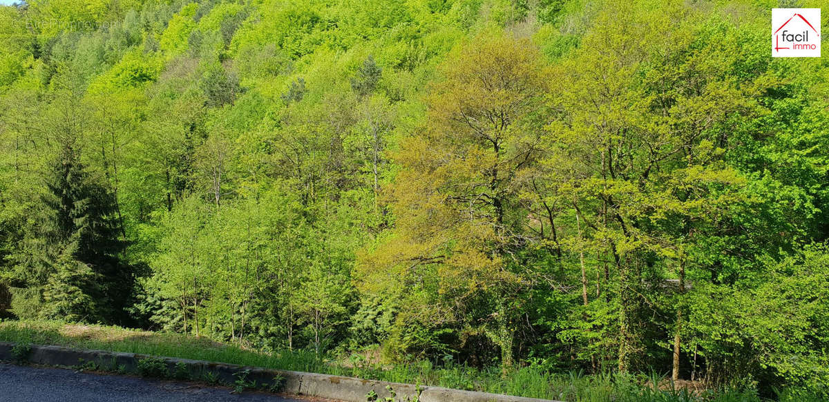 Terrain à LUTZELBOURG