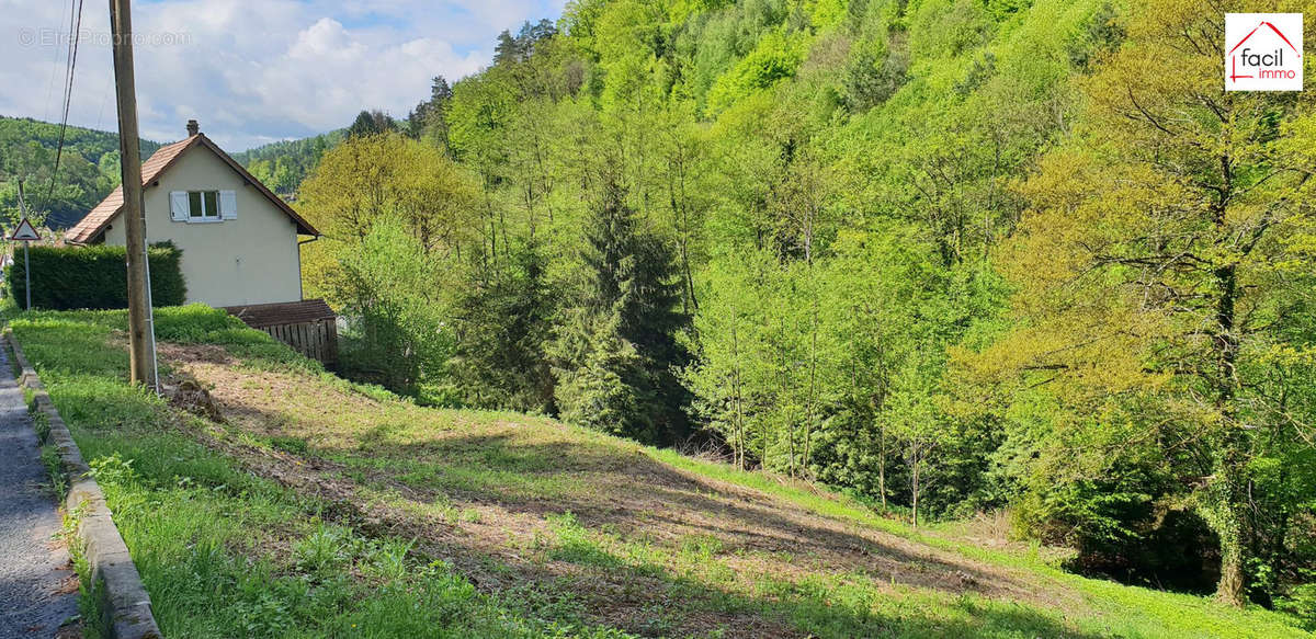 Terrain à LUTZELBOURG