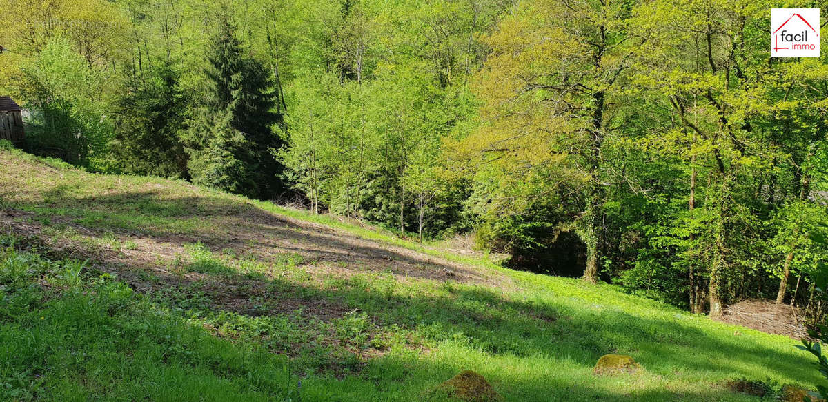 Terrain à LUTZELBOURG