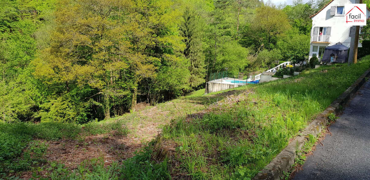 Terrain à LUTZELBOURG