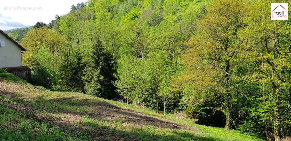 Terrain à LUTZELBOURG