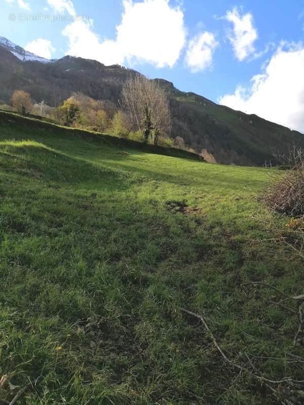 Terrain à LARUNS