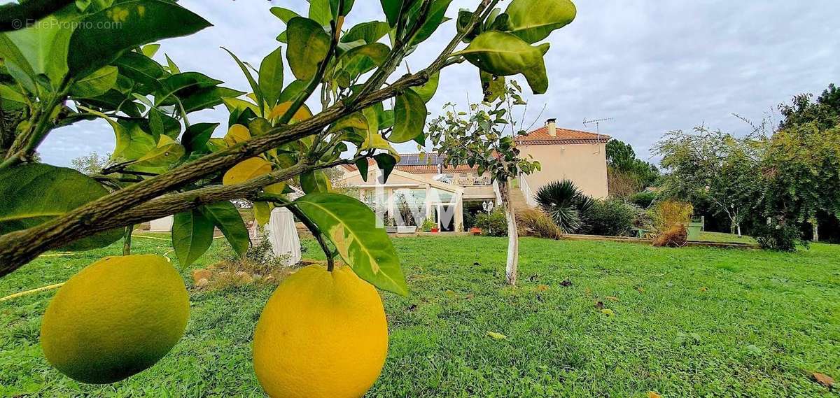 Maison à COURSAC