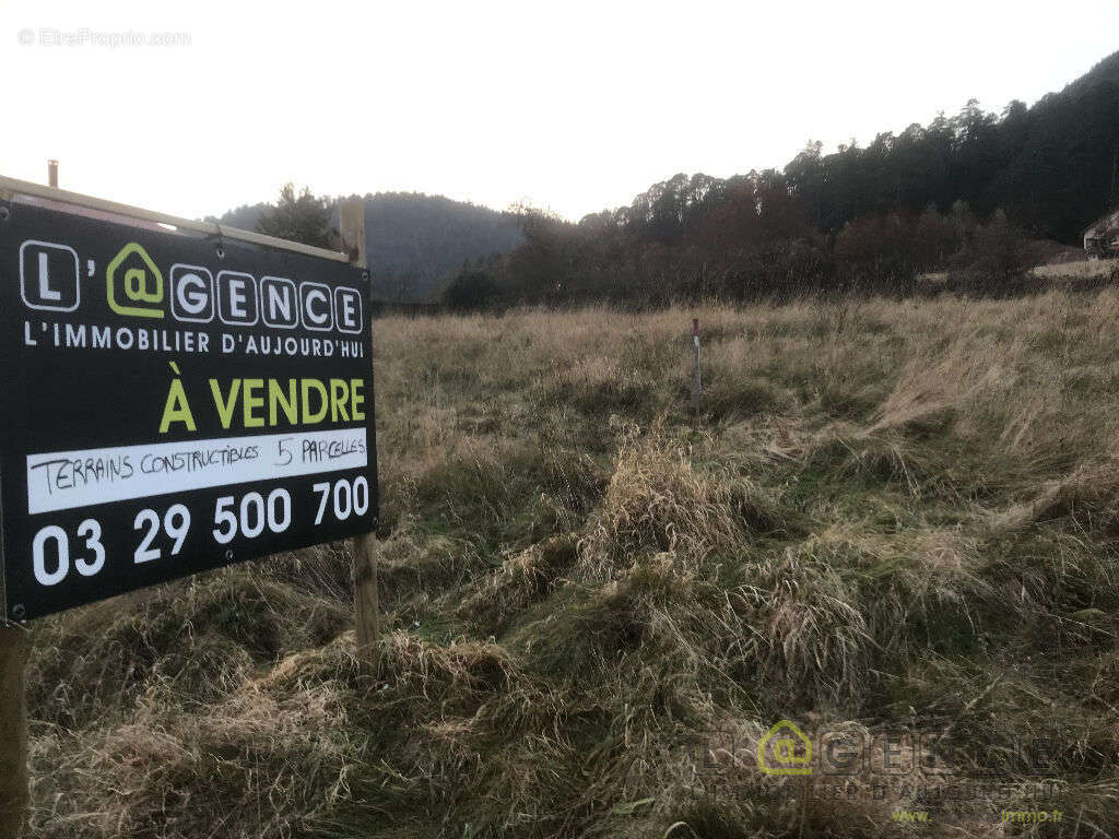 Terrain à SAINT-DIE-DES-VOSGES