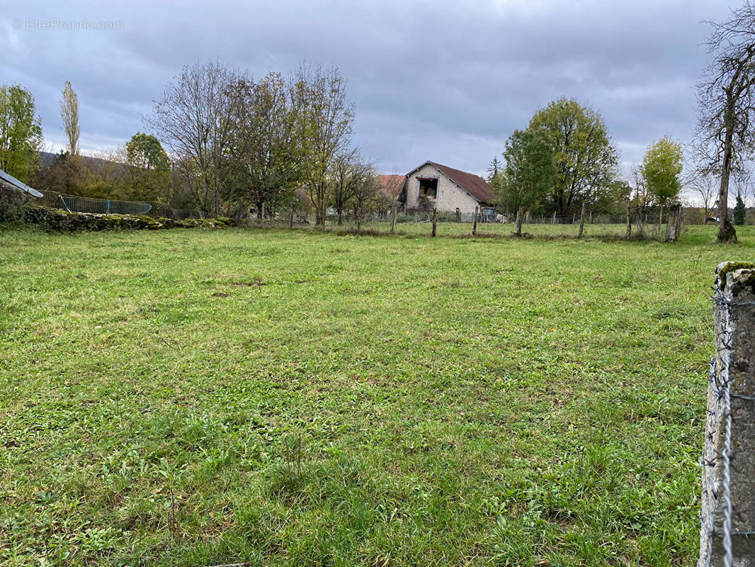 Terrain à ANDELOT-EN-MONTAGNE