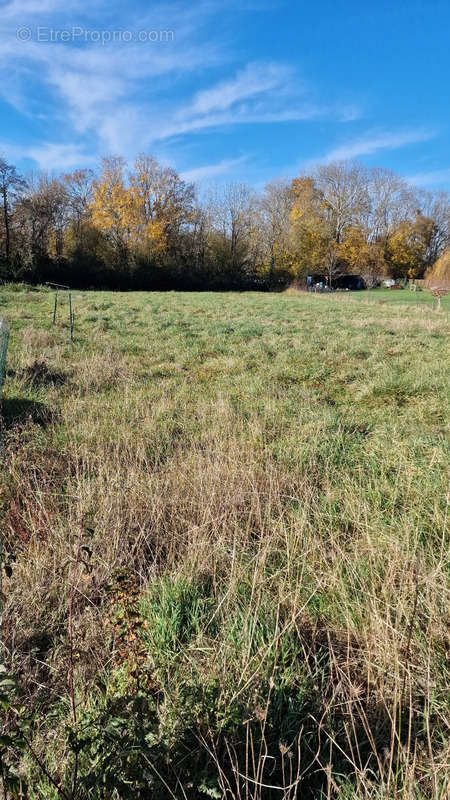 Terrain à CASTERA-LOU