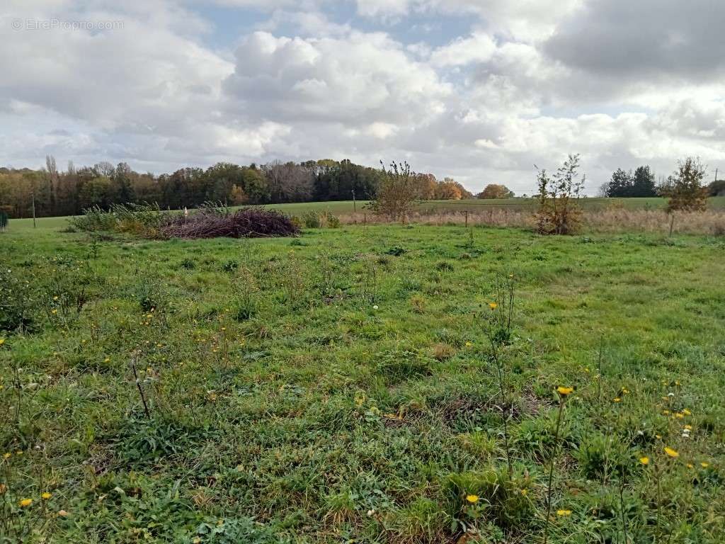 Terrain à BINGES