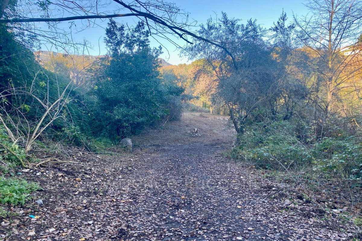 Terrain à VENCE