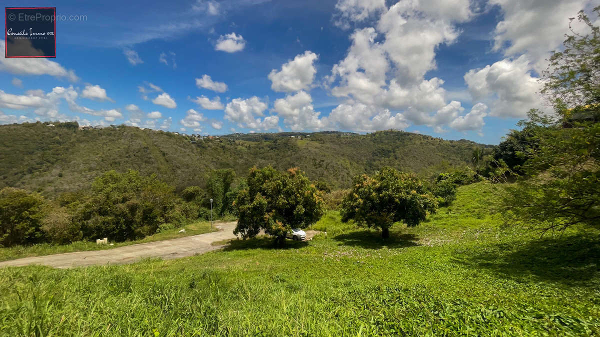 Terrain à SAINTE-LUCE