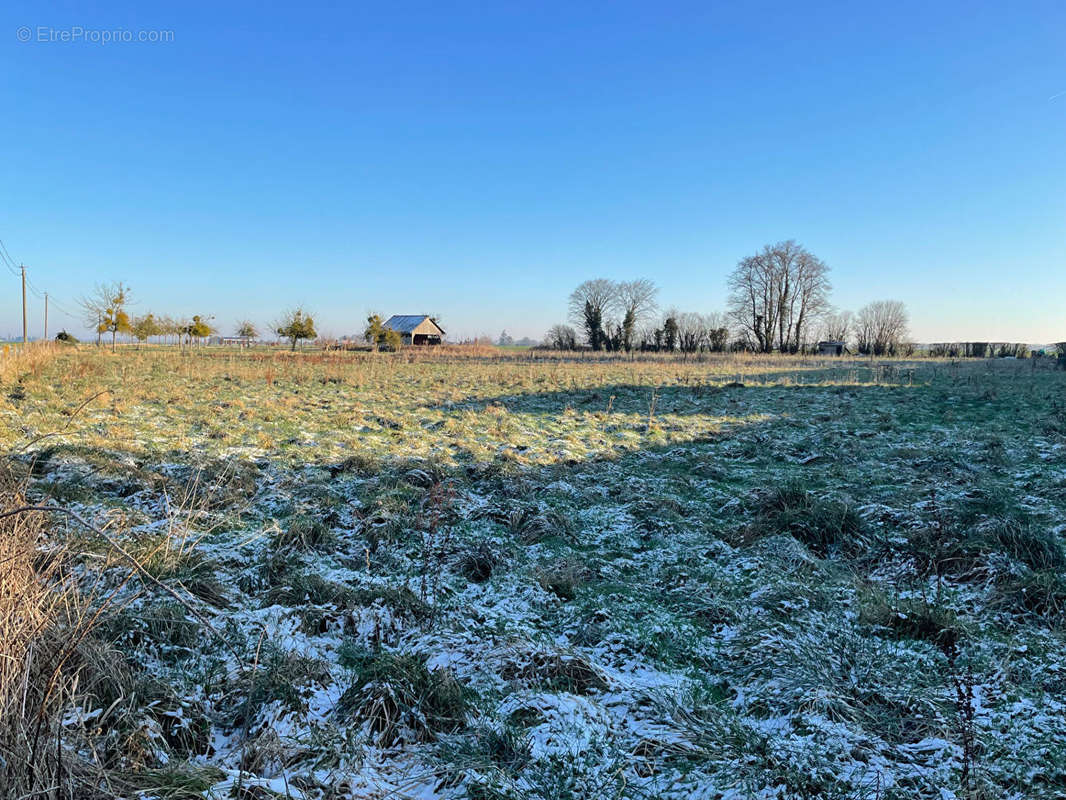 Terrain à CESSEVILLE