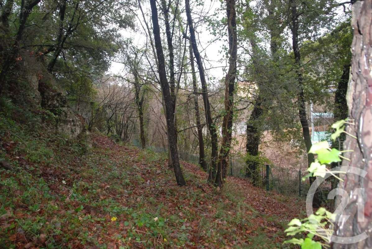 Terrain à BIOT