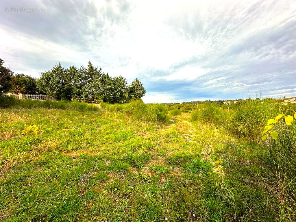 Terrain à BARJAC