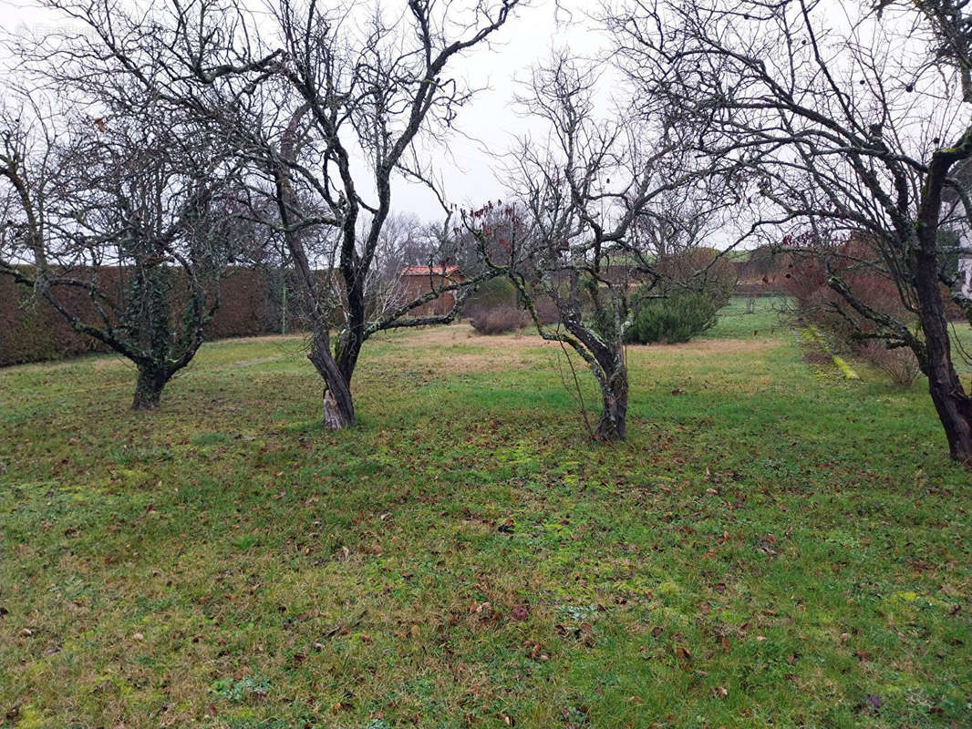 Terrain à SERPAIZE