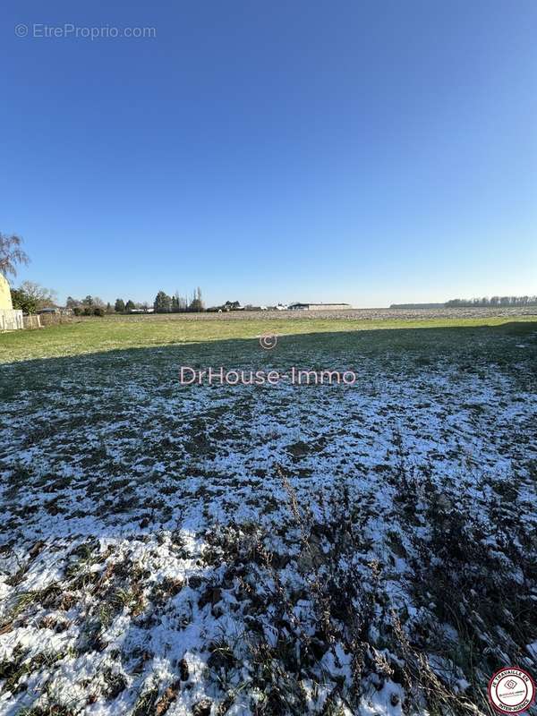 Terrain à SOUPPES-SUR-LOING