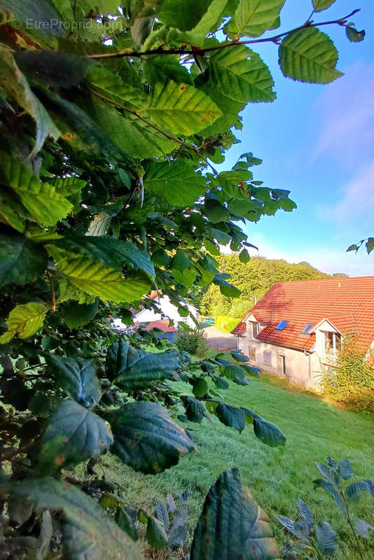 Maison à EVETTE-SALBERT