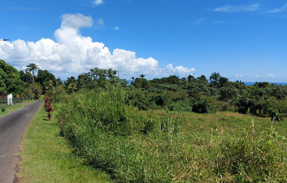 Terrain à PETIT-BOURG