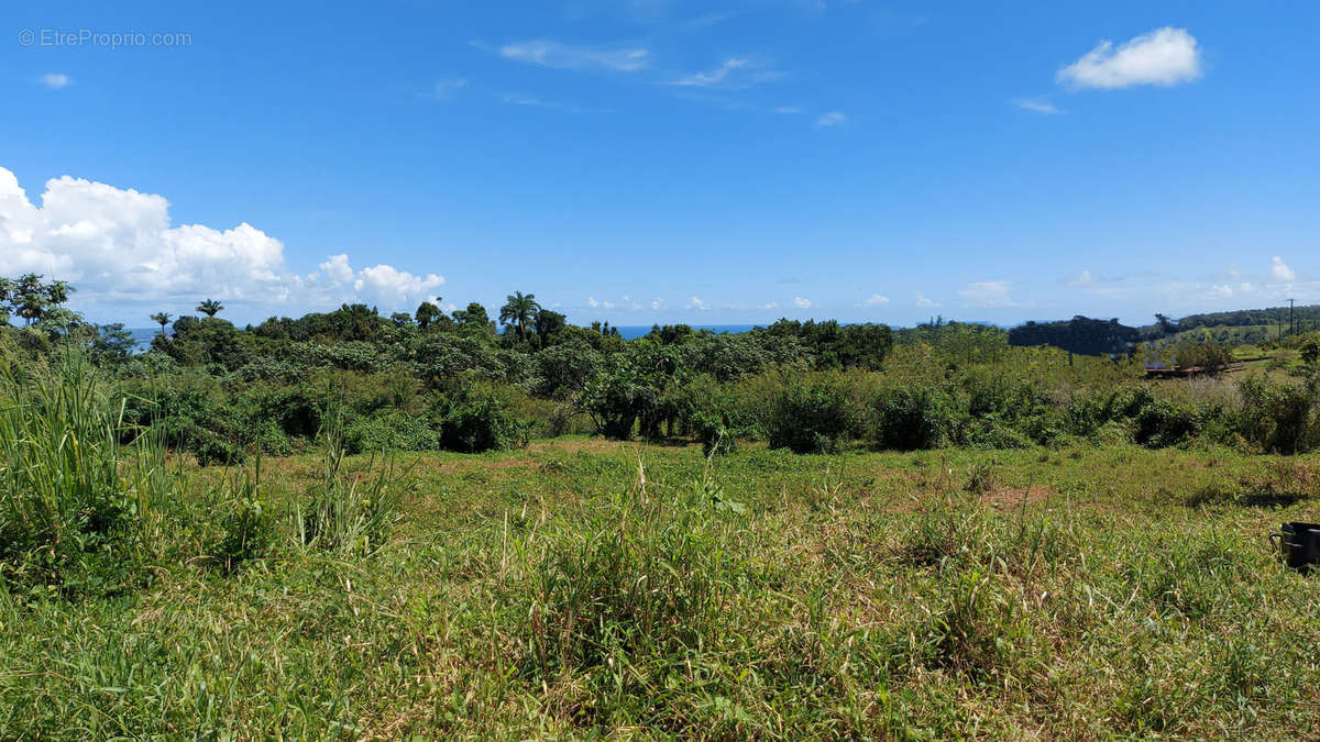 Terrain à PETIT-BOURG