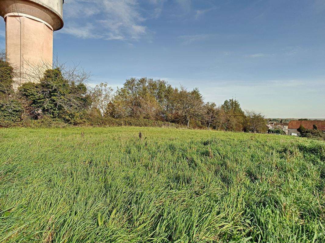 Terrain à LAMARCHE-SUR-SAONE