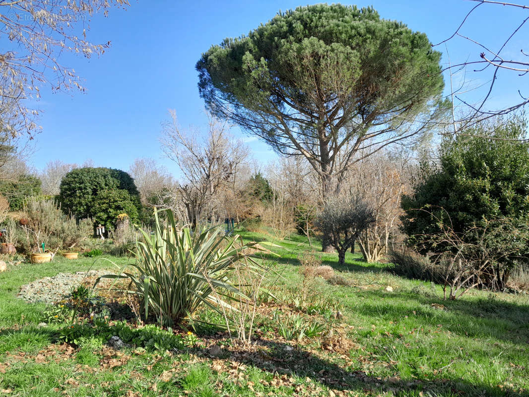 Maison à MOISSAC