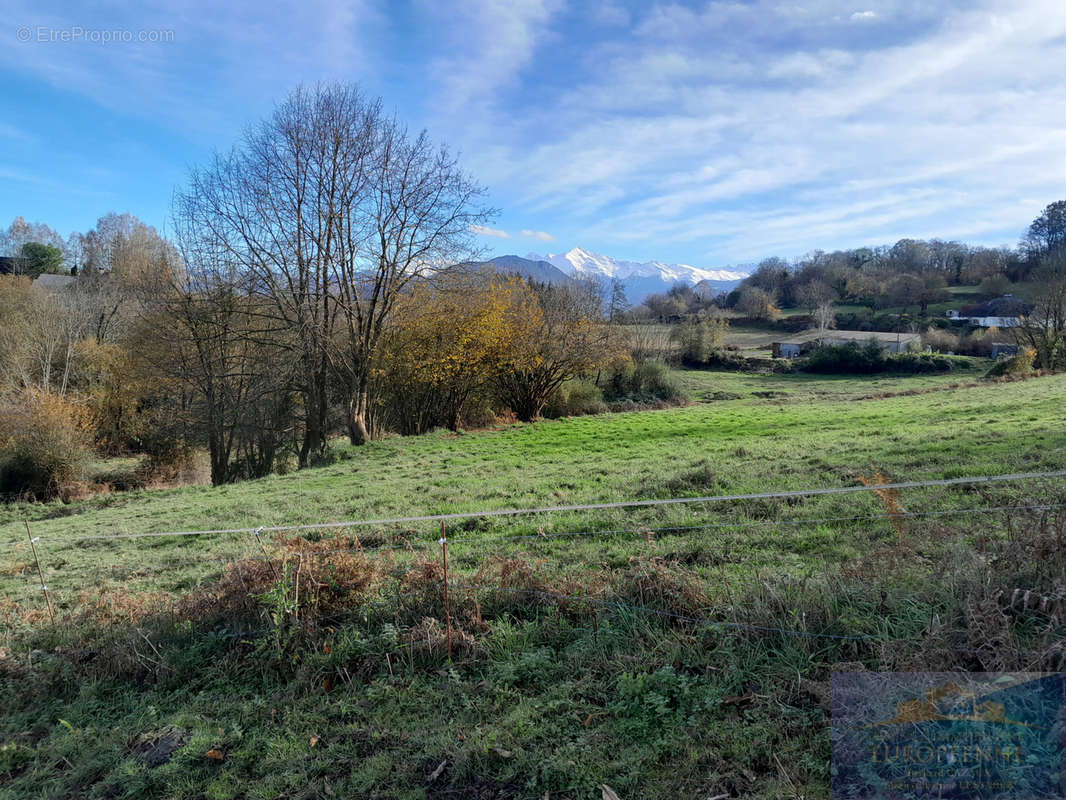 Terrain à POUEYFERRE