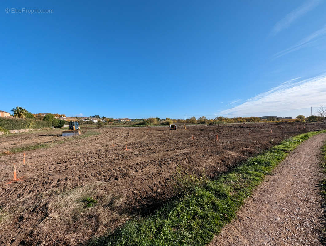 Terrain à PUISSERGUIER