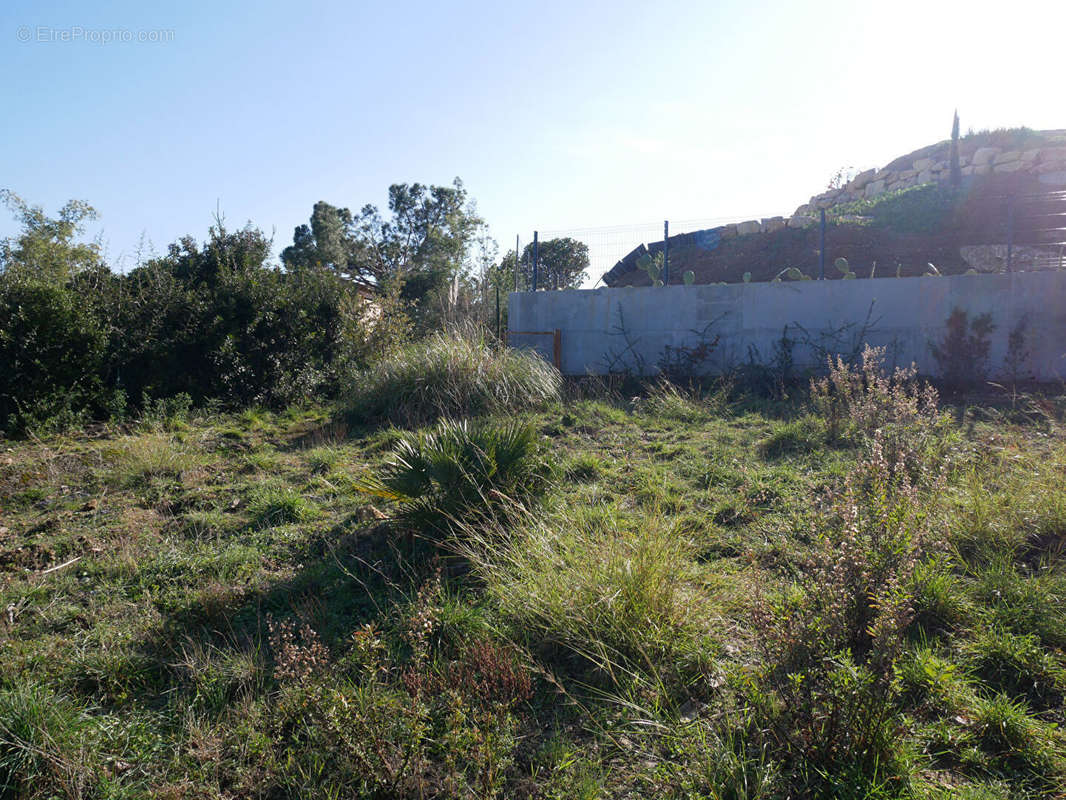 Terrain à LES ISSAMBRES