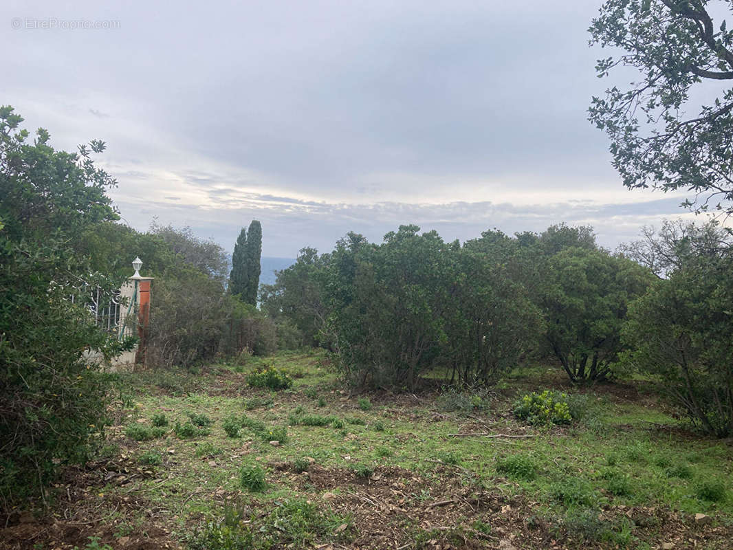 Terrain à LES ISSAMBRES