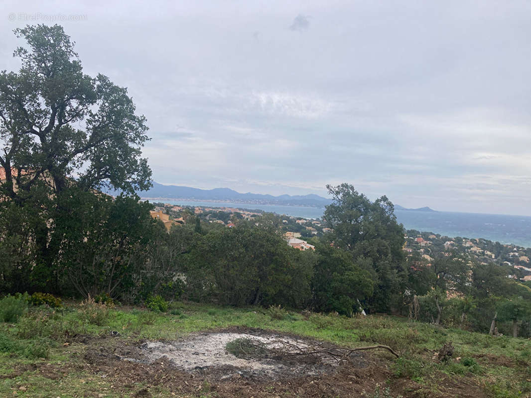 Terrain à LES ISSAMBRES