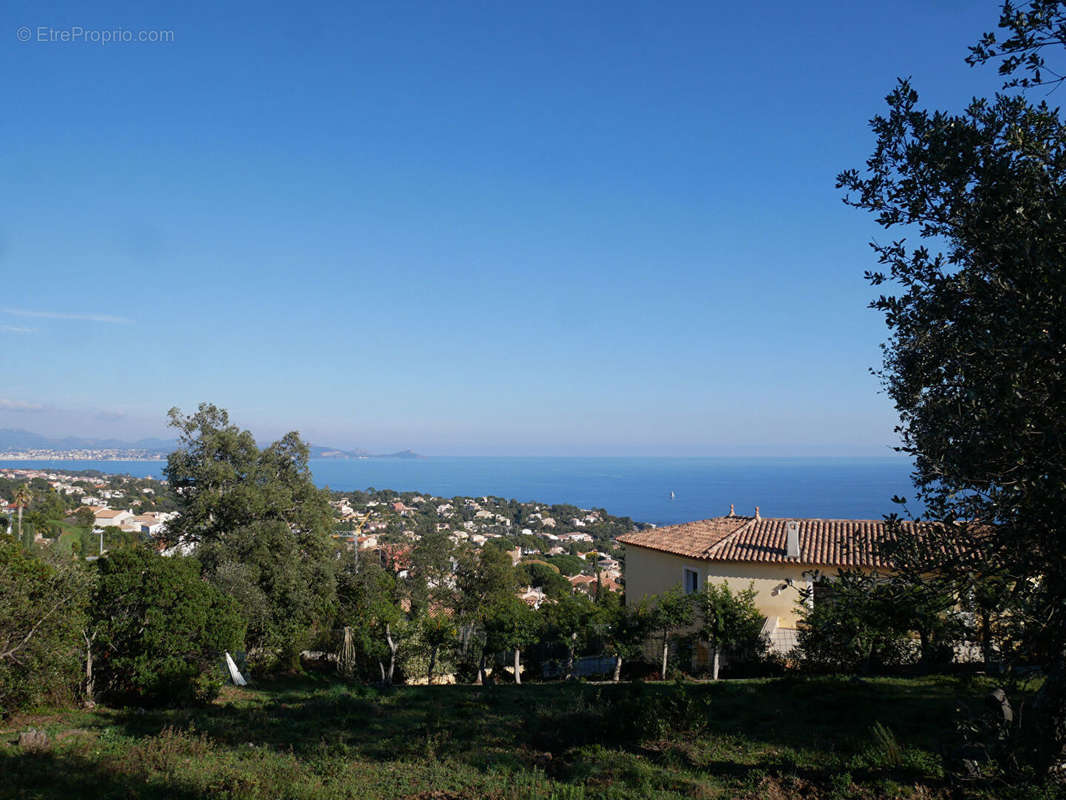 Terrain à LES ISSAMBRES