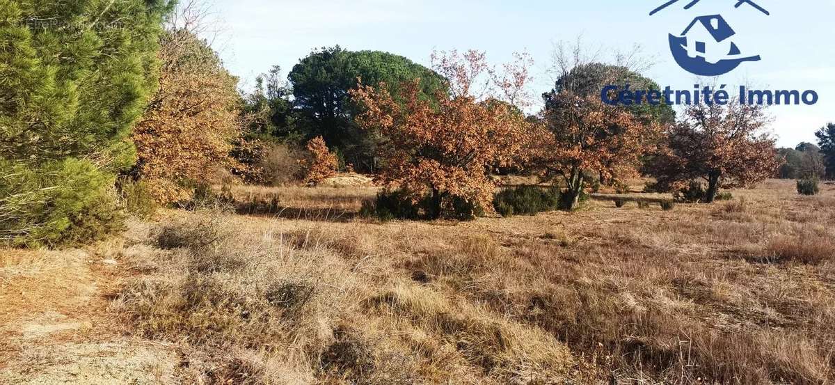 Terrain à SAINT-JEAN-PLA-DE-CORTS