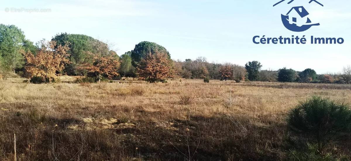 Terrain à SAINT-JEAN-PLA-DE-CORTS