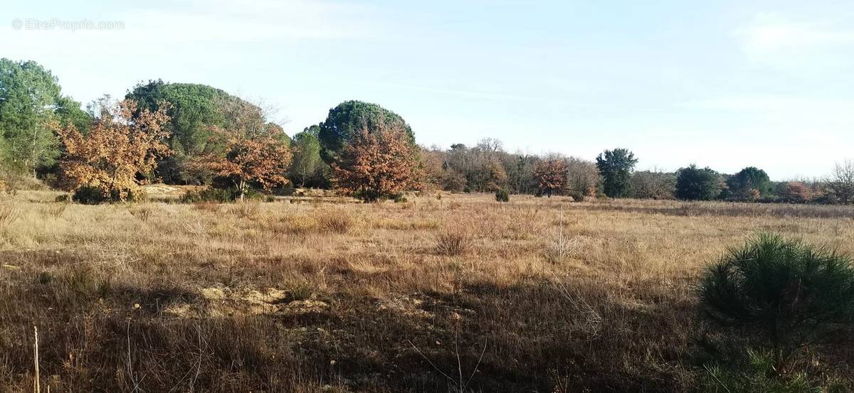 Terrain à SAINT-JEAN-PLA-DE-CORTS